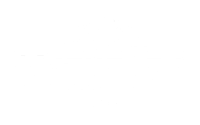 TRAVELLER